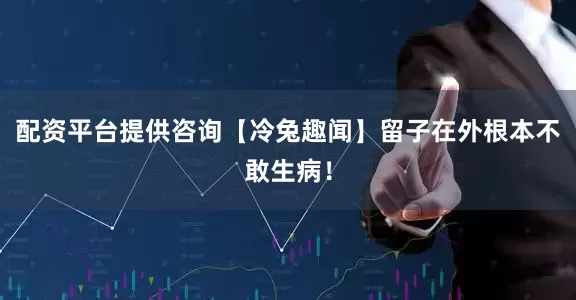 配资平台提供咨询【冷兔趣闻】留子在外根本不敢生病！