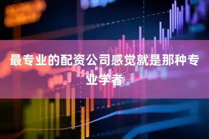 最专业的配资公司感觉就是那种专业学者