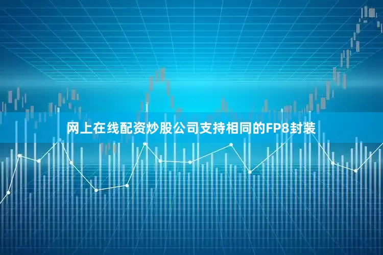 网上在线配资炒股公司支持相同的FP8封装